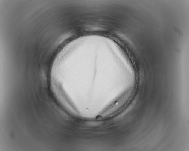 X0000113641305200910162028