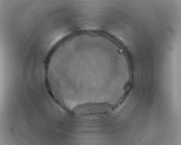 X0000113641306200910162028