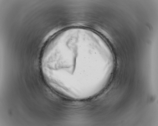 X0000113641308200910162028