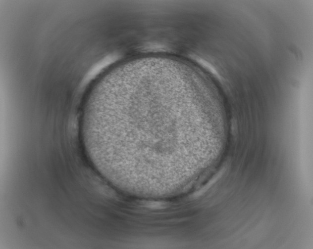 X0000113641309200910162028