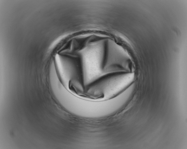 X0000113641310200910162028