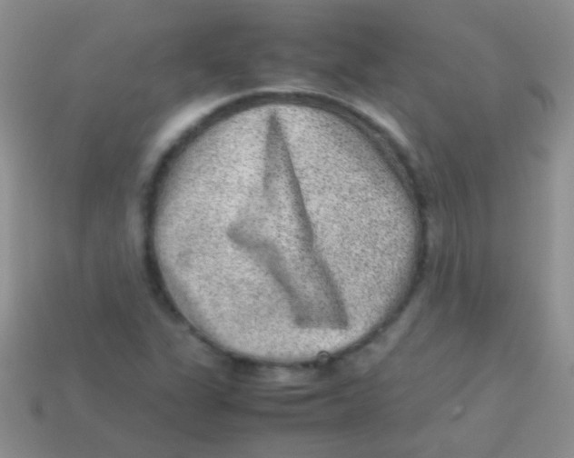 X0000113641311200910162028