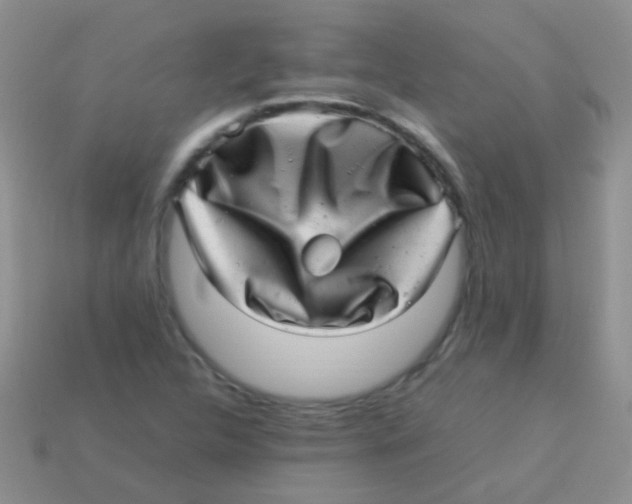 X0000113641312200910162028