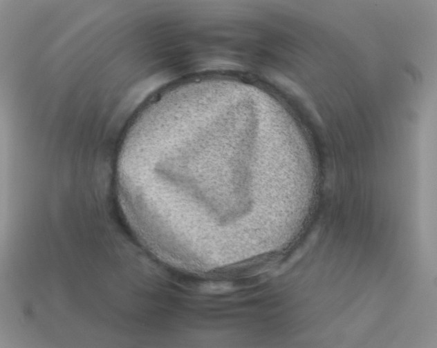 X0000113641313200910162028