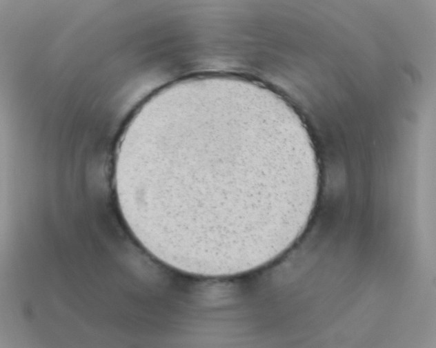 X0000113641314200910162028