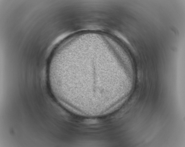 X0000113641315200910162029