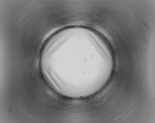 X0000113641316200910162029