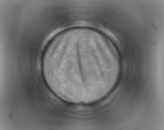 X0000113641318200910162029