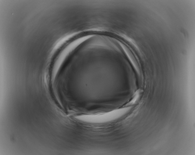 X0000113641319200910162029