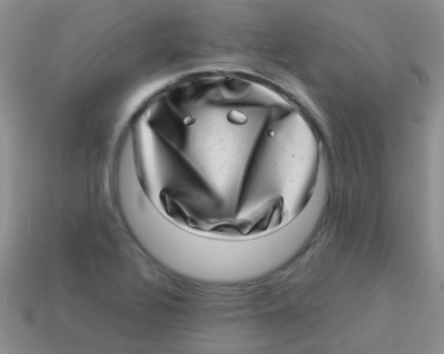 X0000113641320200910162029