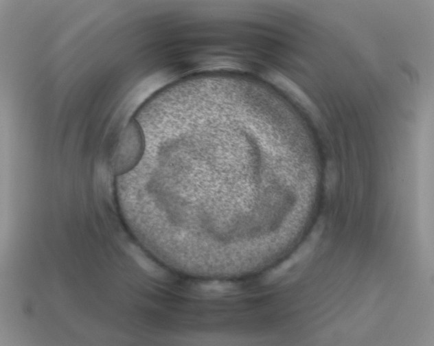 X0000113641321200910162029