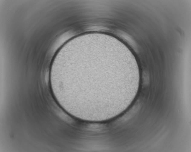 X0000113641322200910162029