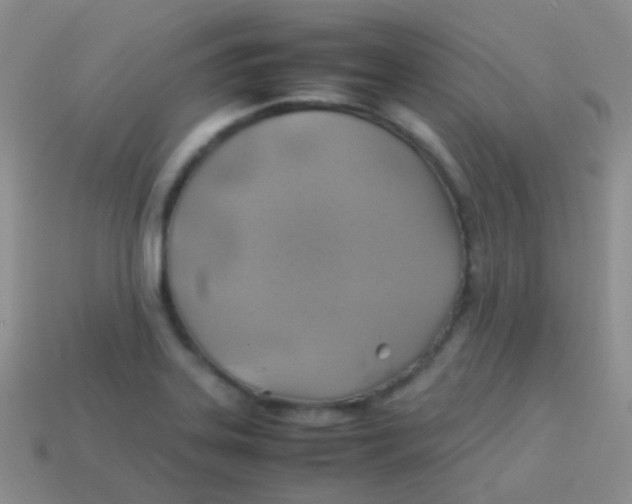 X0000113641323200910162029