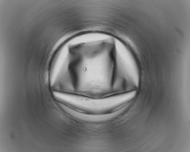 X0000113641324200910162029