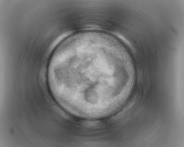 X0000113641325200910162029