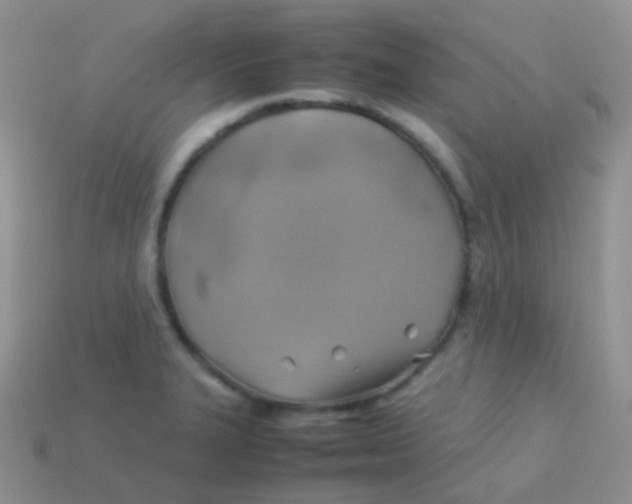 X0000113641327200910162029