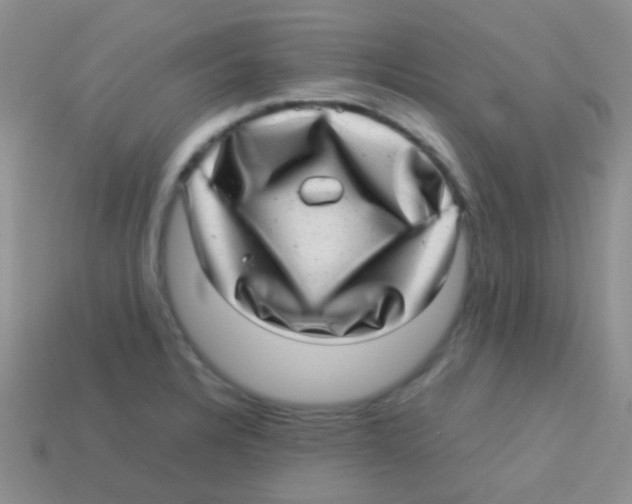 X0000113641328200910162029