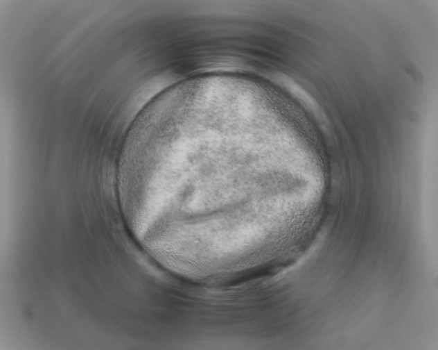 X0000113641329200910162029