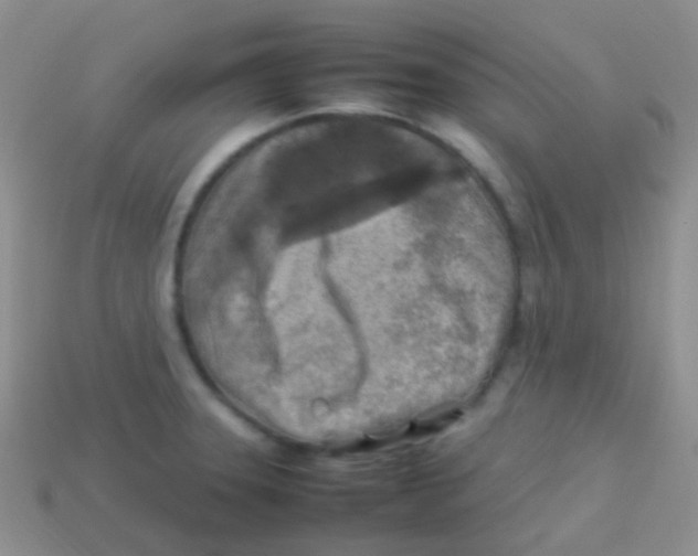 X0000113641331200910162029