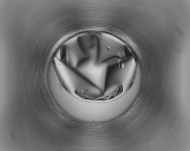 X0000113641332200910162029