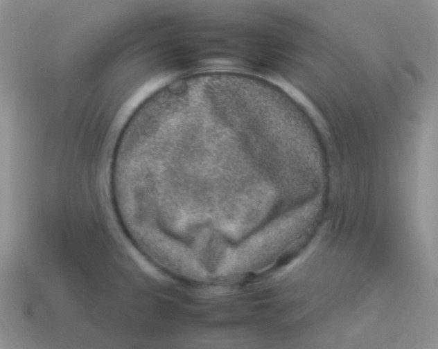 X0000113641333200910162029