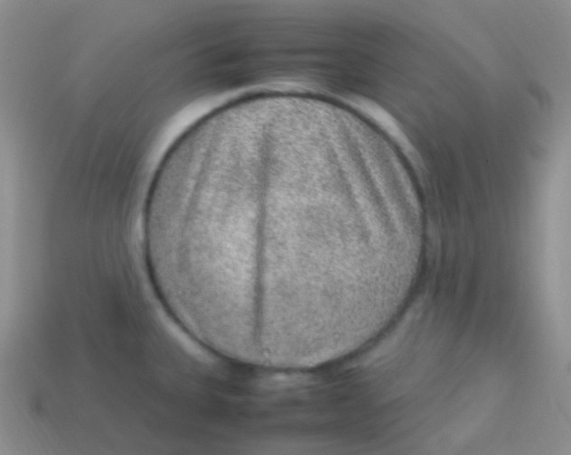 X0000113641335200910162029