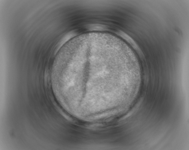 X0000113641337200910162029