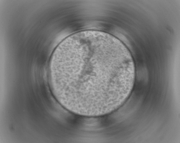 X0000113641338200910162029