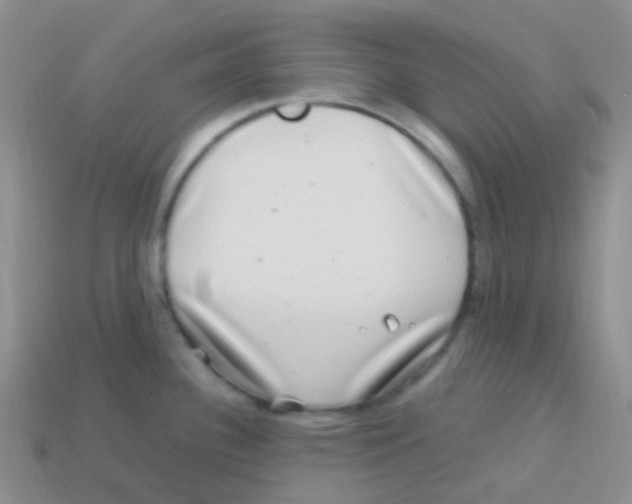 X0000113641340200910162029