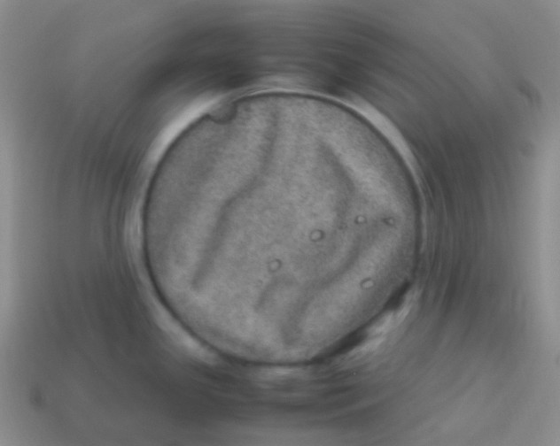 X0000113641341200910162029