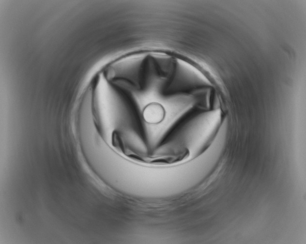 X0000113641342200910162029