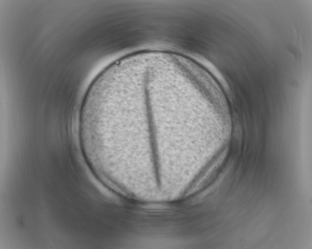 X0000113641343200910162029