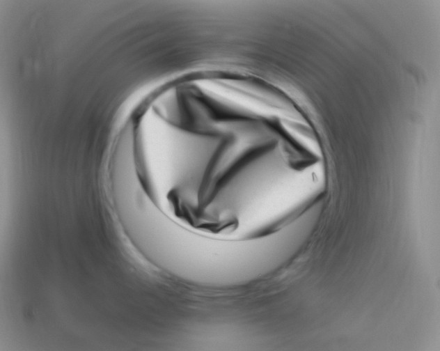 X0000113641344200910162029