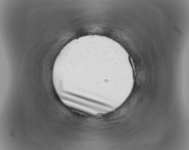 X0000113641345200910162028