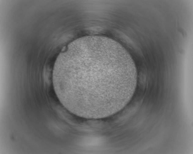 X0000113641346200910162028