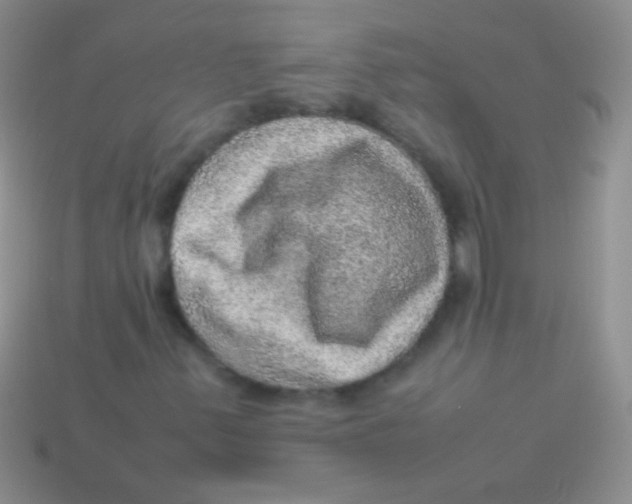 X0000113641347200910162028