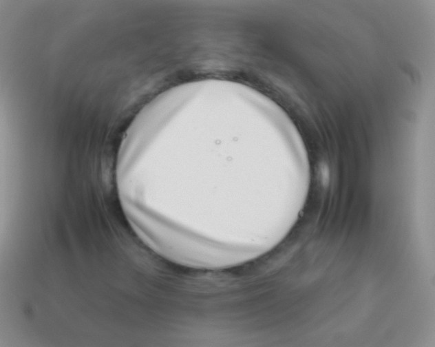 X0000113641348200910162028