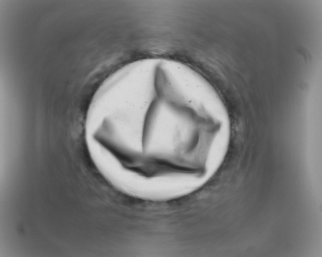 X0000113641349200910162028