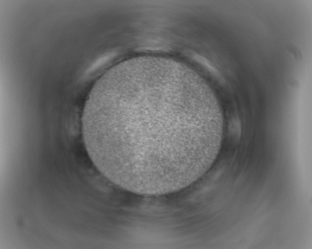 X0000113641350200910162028