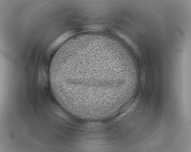 X0000113641354200910162028