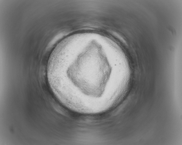 X0000113641355200910162028