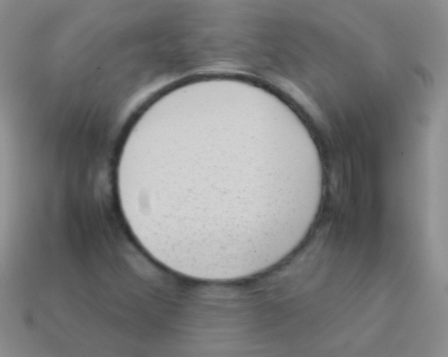 X0000113641356200910162028