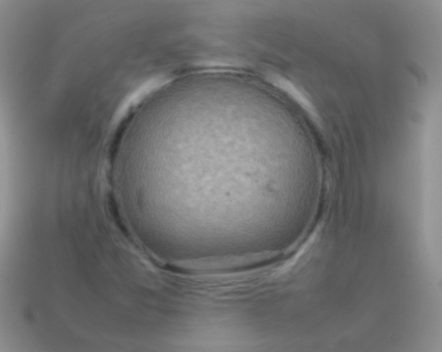 X0000113641357200910162028