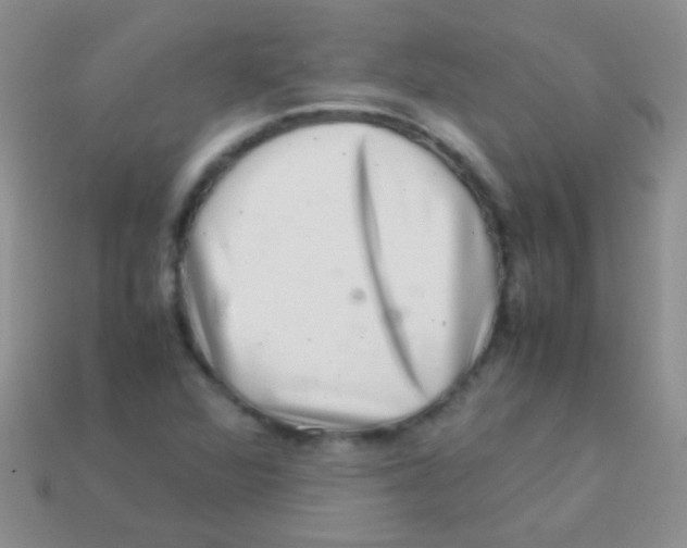 X0000113641360200910162028