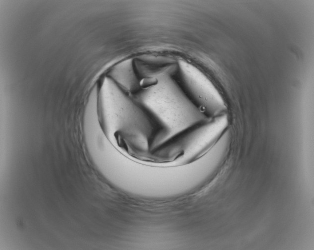 X0000113641361200910162028