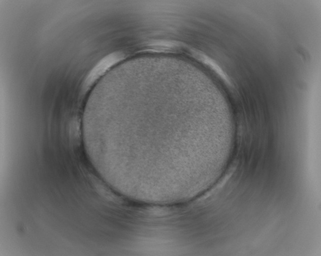 X0000113641362200910162028