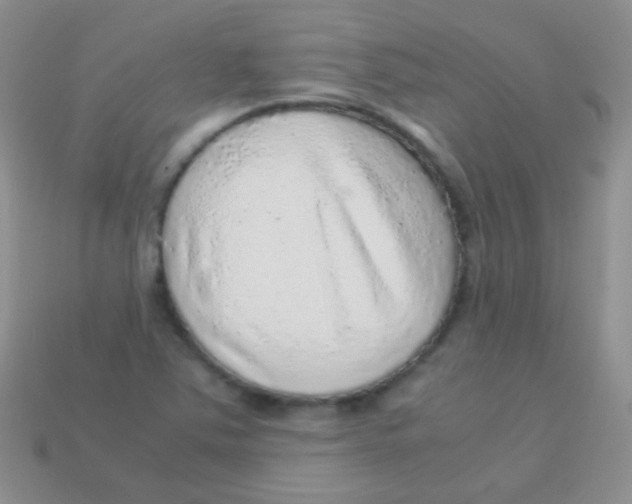 X0000113641363200910162028