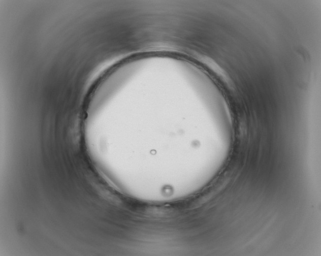 X0000113641364200910162028