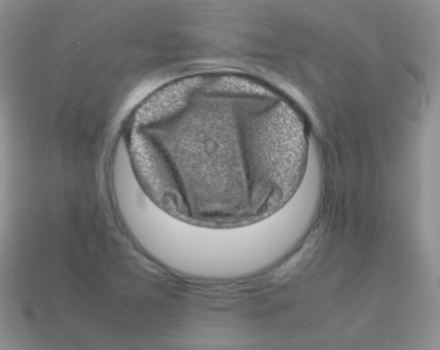 X0000113641365200910162028