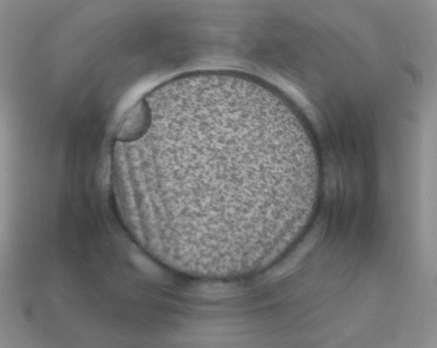 X0000113641366200910162028